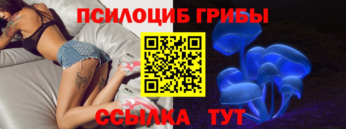 Псилоцибиновые грибы Psilocybe Гуково